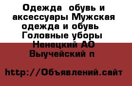 Одежда, обувь и аксессуары Мужская одежда и обувь - Головные уборы. Ненецкий АО,Выучейский п.